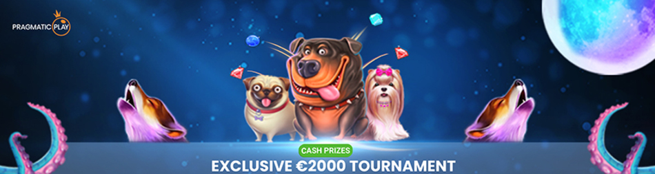 Spin big, win bigger!                    