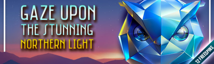 Gaze upon the stunning Northern Light                    