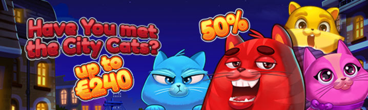 Have you met the city cats?                    
