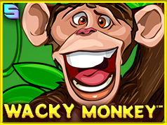 Wacky Monkey