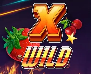 X-WILD