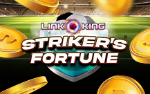 Link King Striker’s Fortune