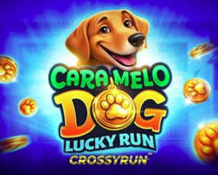 Caramelo Dog: Lucky Run