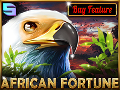 African Fortune