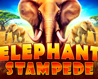 Elephant Stampede