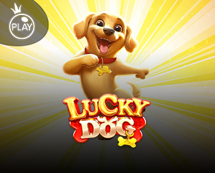 Lucky Dog