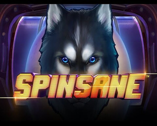 Spinsane