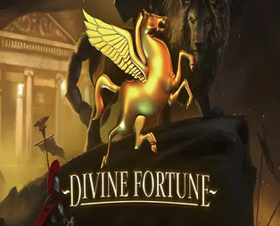 Divine Fortune