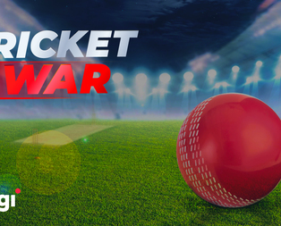 Cricket War