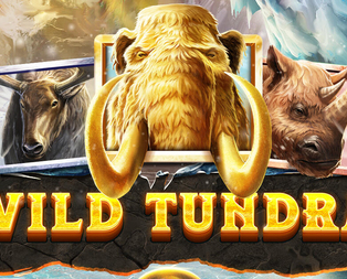 Wild Tundra
