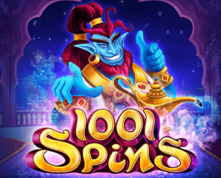 1001 Spins