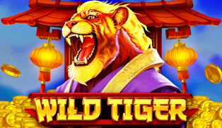 Wild Tiger