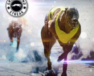 Greyhound Stre