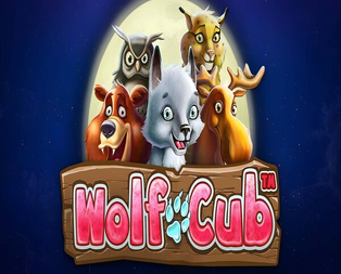 Wolf Cub