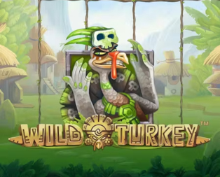 Wild Turkey
