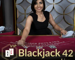 Blackjack VIP 42