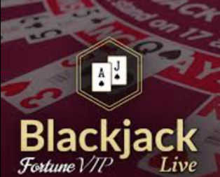 Blackjack Fortune VIP
