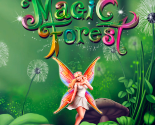Magic Forest