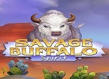 Savage Buffalo Spirit