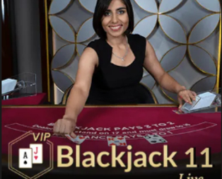 Blackjack VIP 11