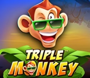 Triple Monkey
