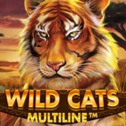 Wild Cats Multiline