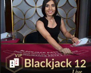 Blackjack VIP 12