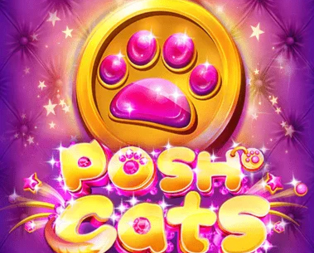 Posh Cats