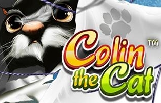 Colin The Cat