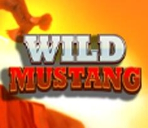 Wild Mustang
