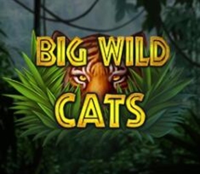 Big Wild Cats 