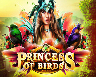 Princess of Birds