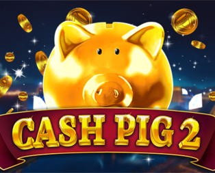 Cash Pig 2