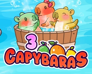 3 Capybaras