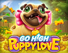 Go High Puppy Love