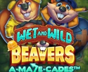 Wet and Wild Beavers