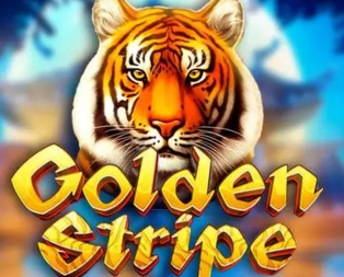 Golden Stripe