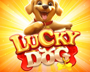 Lucky Dog
