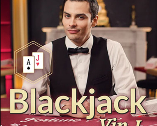 Blackjack VIP L