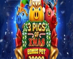 3 Pigs of Xmas