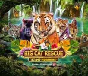 Big Cat Rescue Megaways