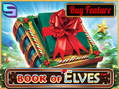 Book Of Elves