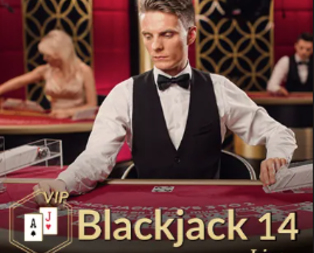 Blackjack VIP 14