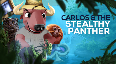 Carlos and the cunning black cat
