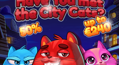 Have you met the city cats?