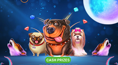 Spin big, win bigger!